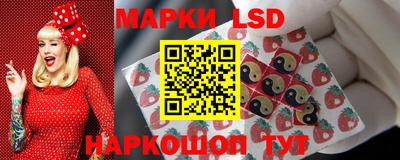 spice Кунгур